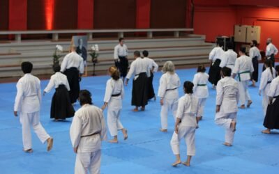 Aikido Is For Everyone*